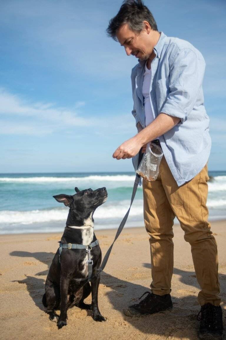 A man trains his black dog on a sunny Portugal beach, fostering companionship and fun.