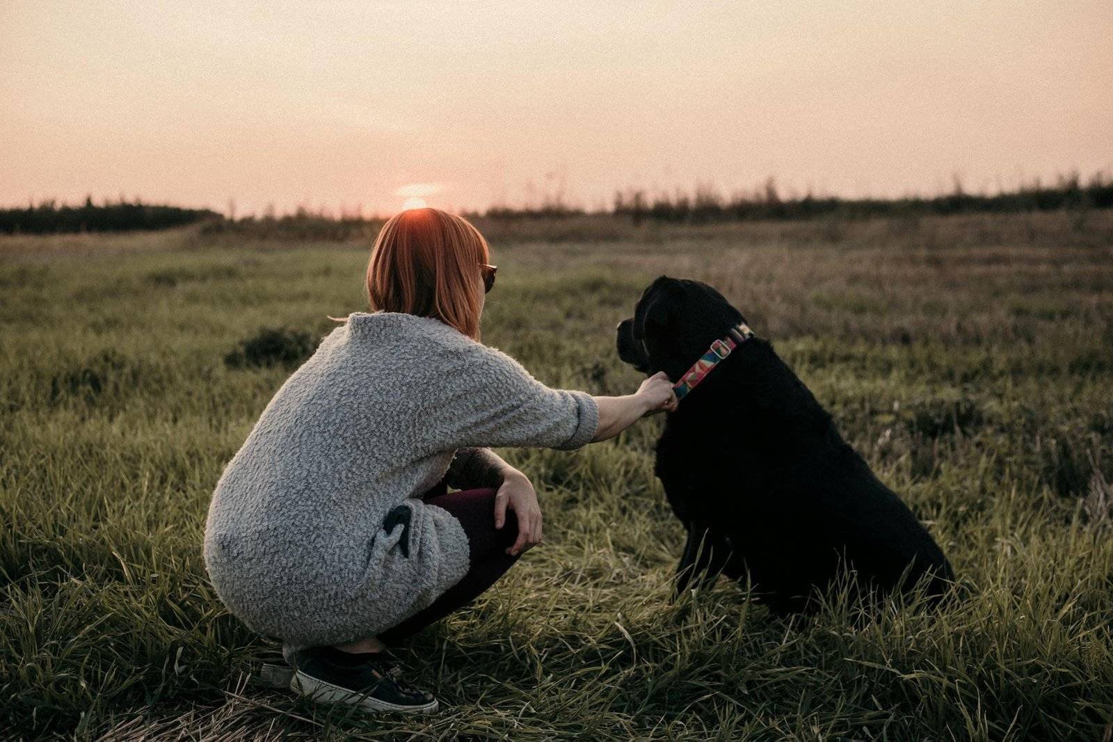 A woman and her black dog share a peaceful moment during sunset in a grassy field.
