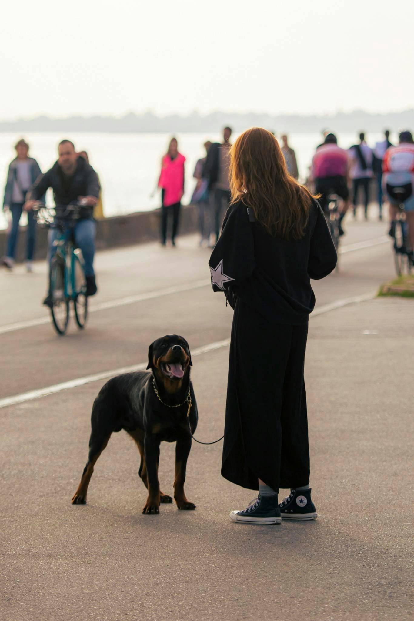 A woman in black with a Rottweiler